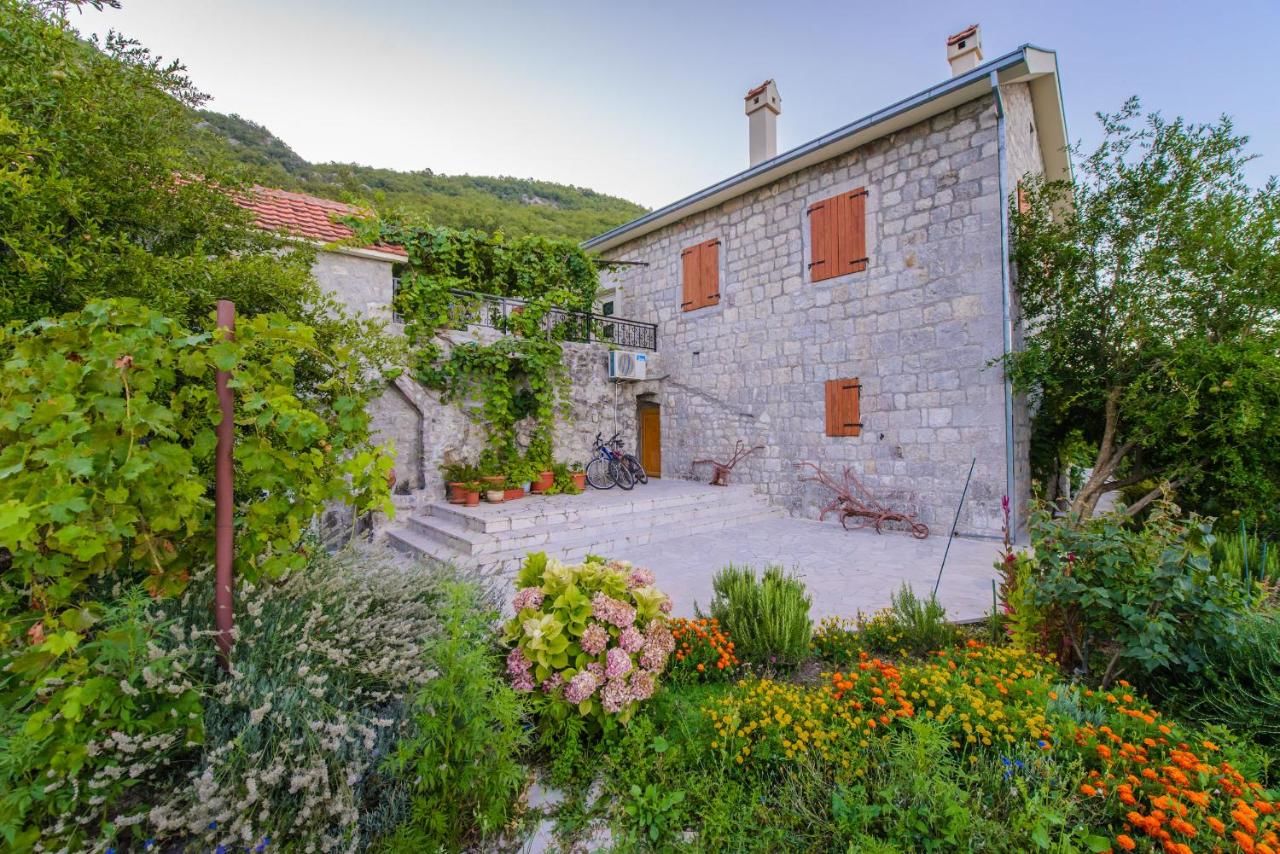 Виллы Mediteraneo Villa Kaluđerovići