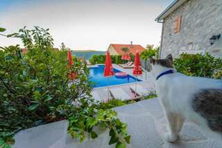 Виллы Mediteraneo Villa Kaluđerovići Вилла с собственным бассейном-101