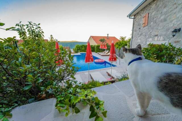 Виллы Mediteraneo Villa Kaluđerovići-103